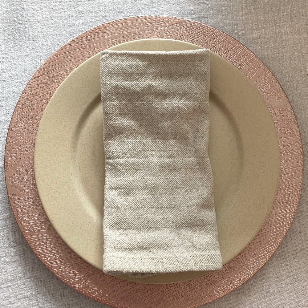 Set of 6 Blush Pink Chargers